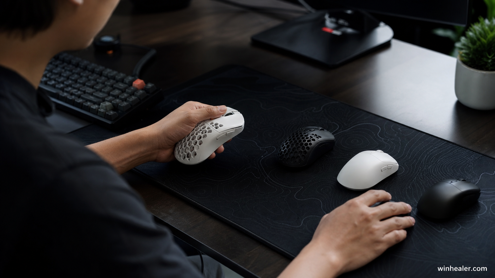 Best Budget Mouse for PC Gaming in 2026 practical setup